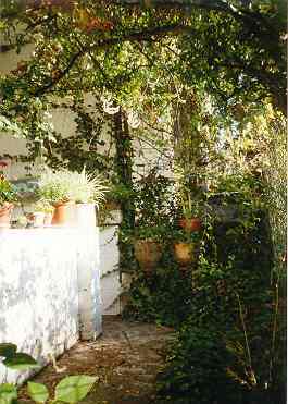 Hof und Balkon